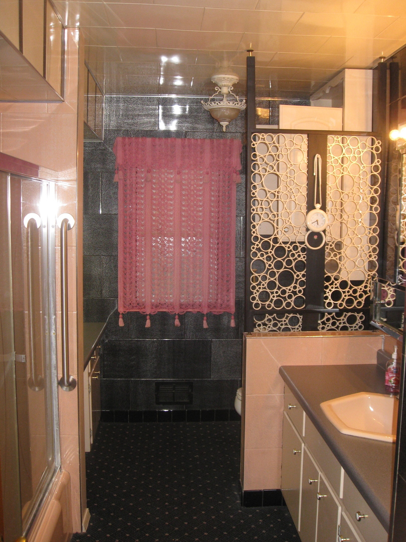 517 North Reed Street Joliet, IL 60435 - Photo 10 of 17