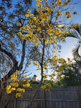 $825,000 | 127 Oakwood Drive, Largo, FL 33770