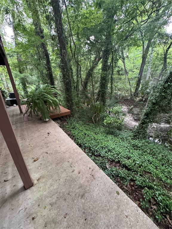 1515 Northwest 29 Road, Unit E3 Gainesville, FL 32605 - Photo 16 of 16 a view of a yard with plants and a large tree