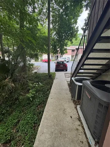 a view of a yard with plants and a large tree
