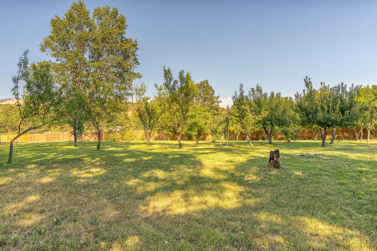 88 Neil Creek Road Ashland, OR 97520 - Photo 7 of 20 untitled (10 of 27)-Edit