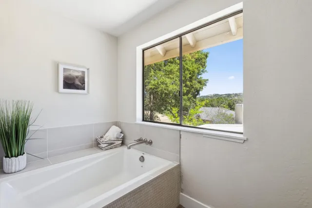 a potted plant sitting on top of a kitchen