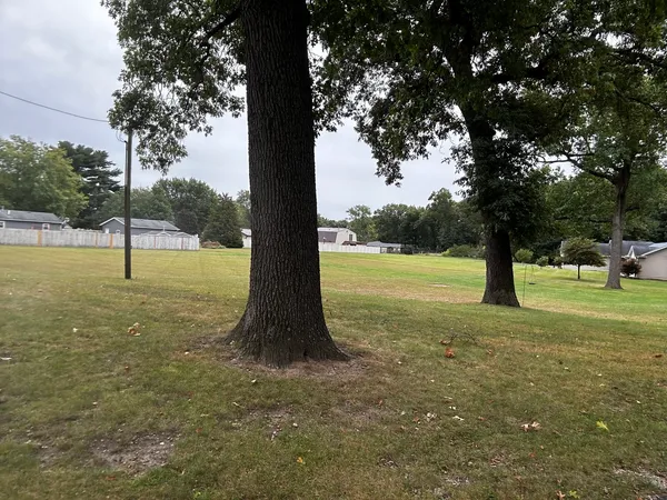 a view of a tree in a park