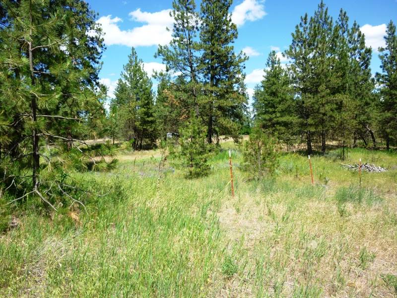 4318 North Brooks Road Medical Lake, WA 99022 - Photo 18 of 20 Gallery Image 18