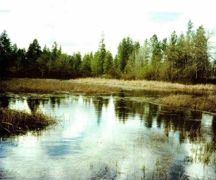 4318 North Brooks Road Medical Lake, WA 99022 - Photo 20 of 20 Gallery Image 20