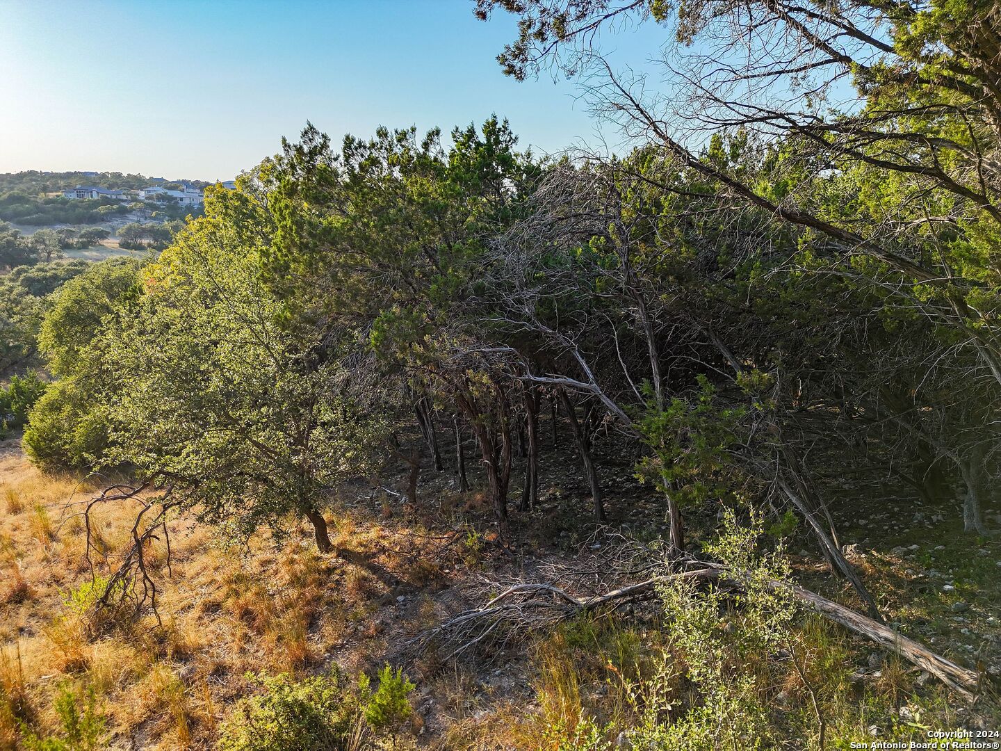 1155 Hancock Road Canyon Lake, TX 78133 - Photo 12 of 23 a view of a forest with a tree