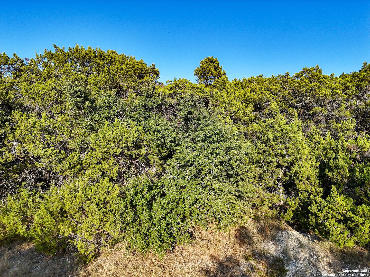 1155 Hancock Road Canyon Lake, TX 78133 - Photo 14 of 23 a view of a green field