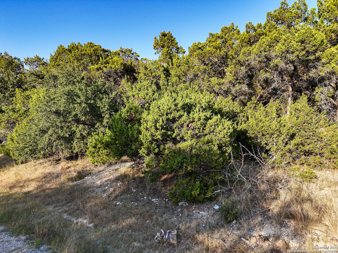 1155 Hancock Road Canyon Lake, TX 78133 - Photo 15 of 23 a view of a large yard with lots of green space