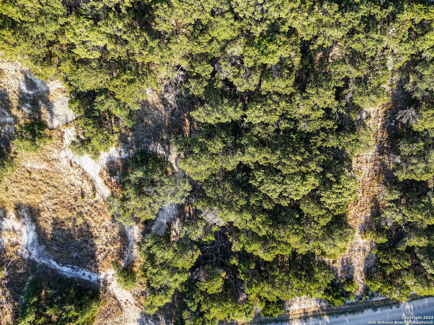 1155 Hancock Road Canyon Lake, TX 78133 - Photo 17 of 23 a view of a tree