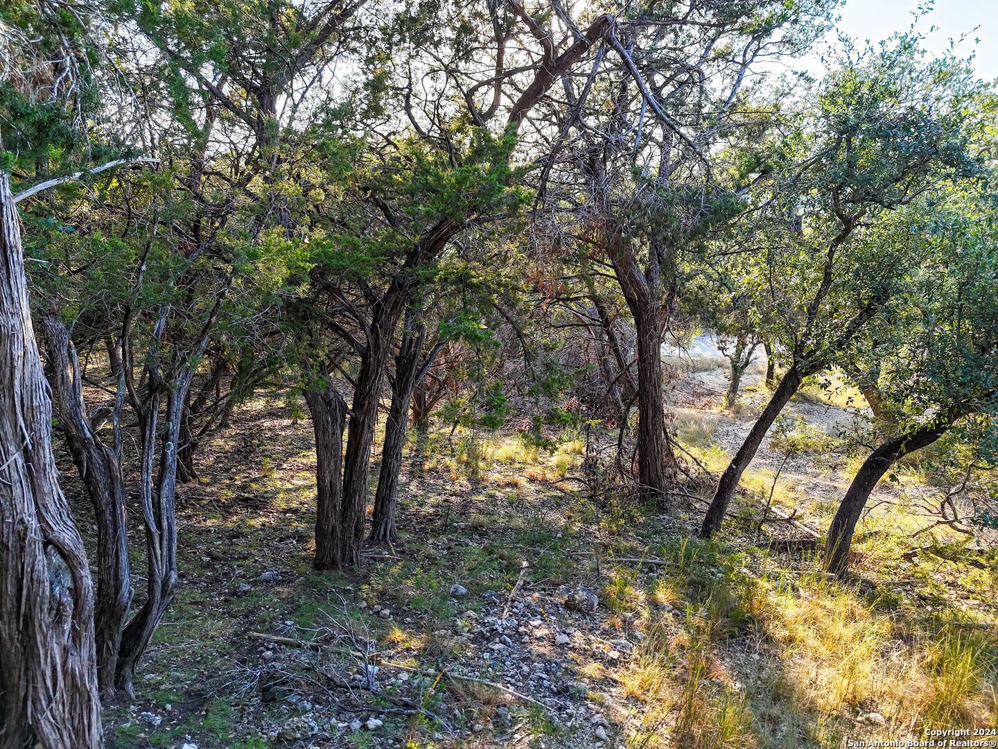 1155 Hancock Road Canyon Lake, TX 78133 - Photo 19 of 23