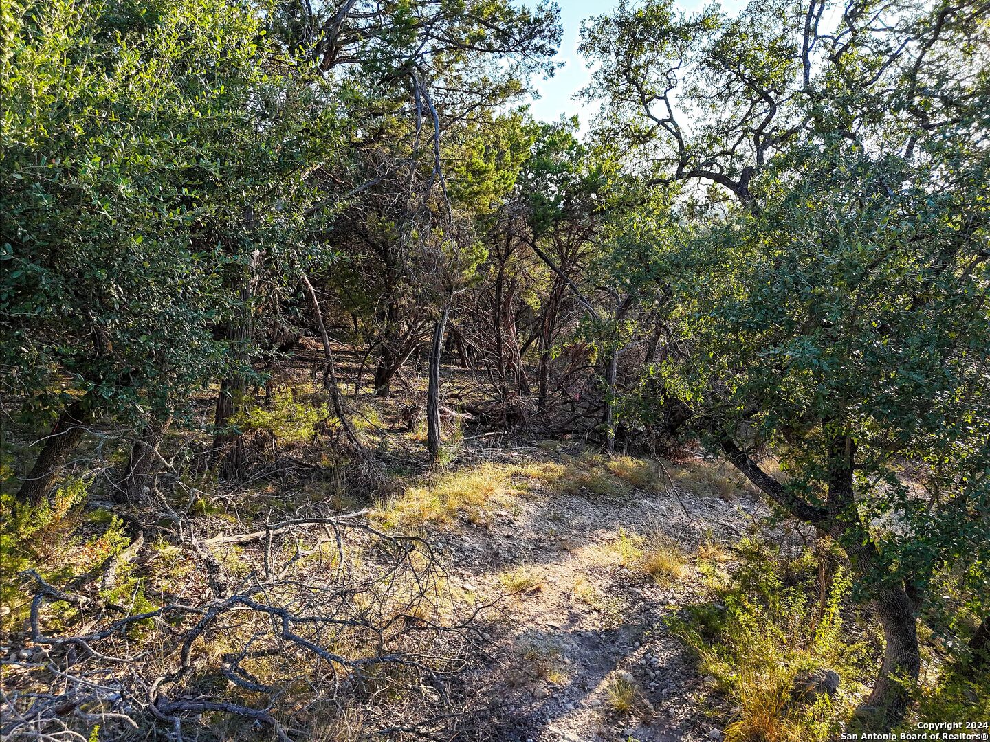 1155 Hancock Road Canyon Lake, TX 78133 - Photo 20 of 23 a view of a yard with large trees