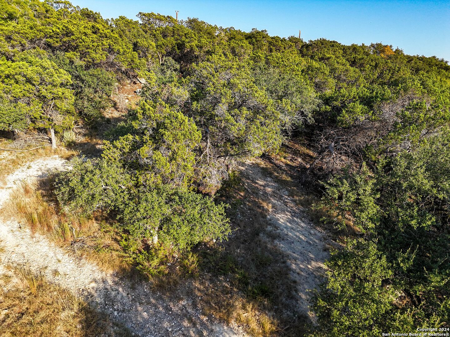 1155 Hancock Road Canyon Lake, TX 78133 - Photo 23 of 23 a view of a large yard with lots of bushes