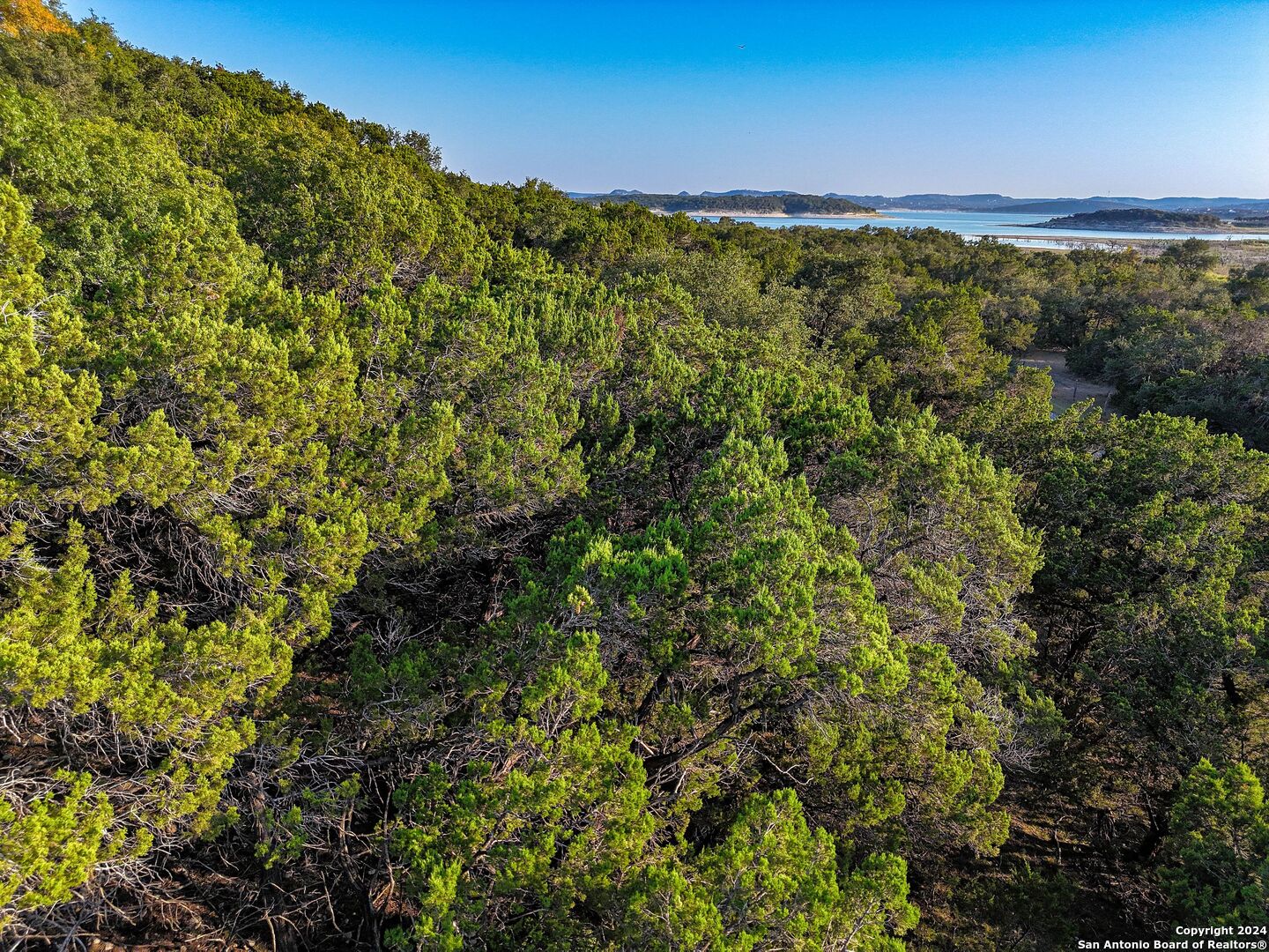1155 Hancock Road Canyon Lake, TX 78133 - Photo 4 of 23 a view of a field