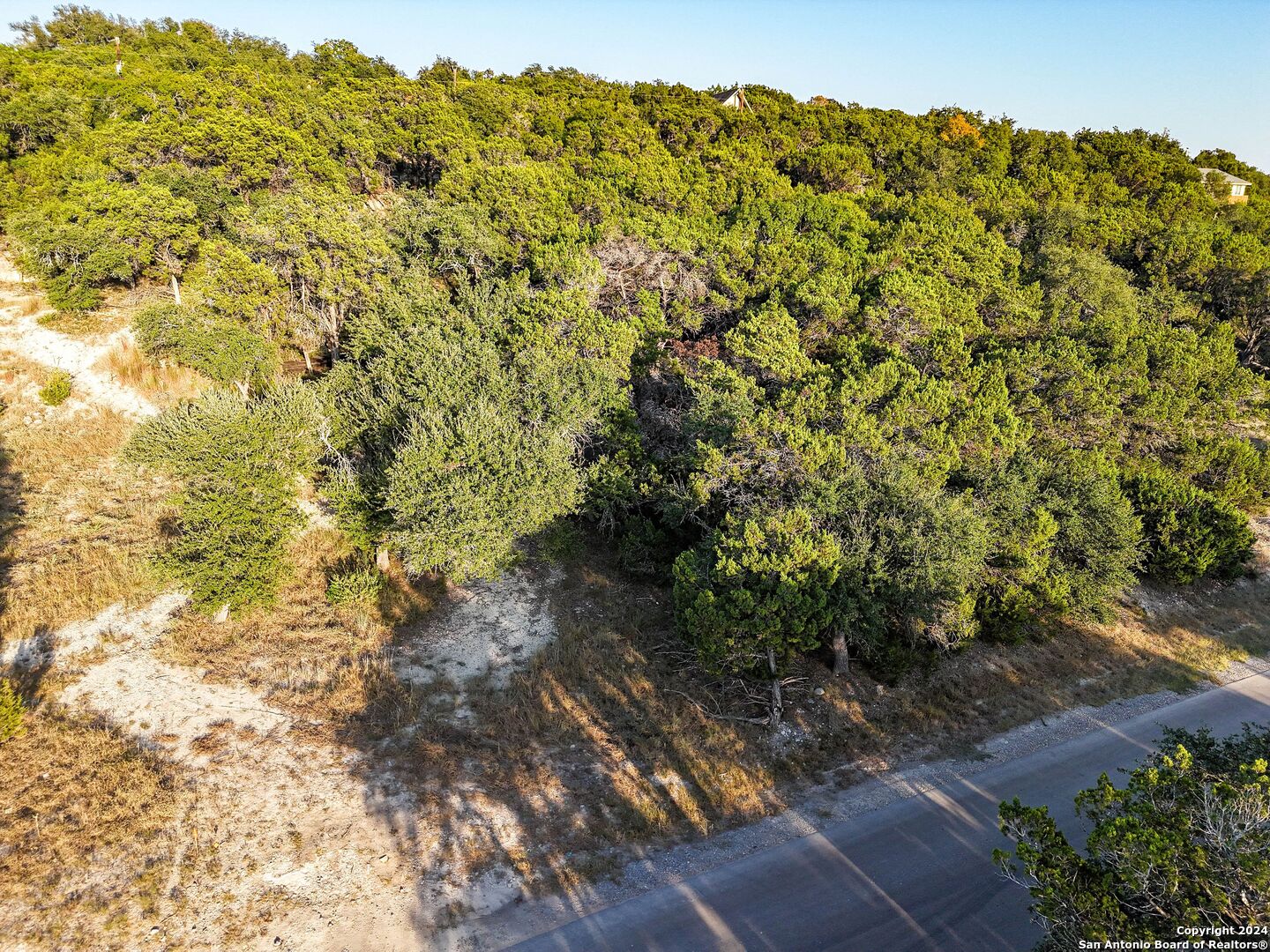 1155 Hancock Road Canyon Lake, TX 78133 - Photo 7 of 23 a view of a large yard with lots of bushes