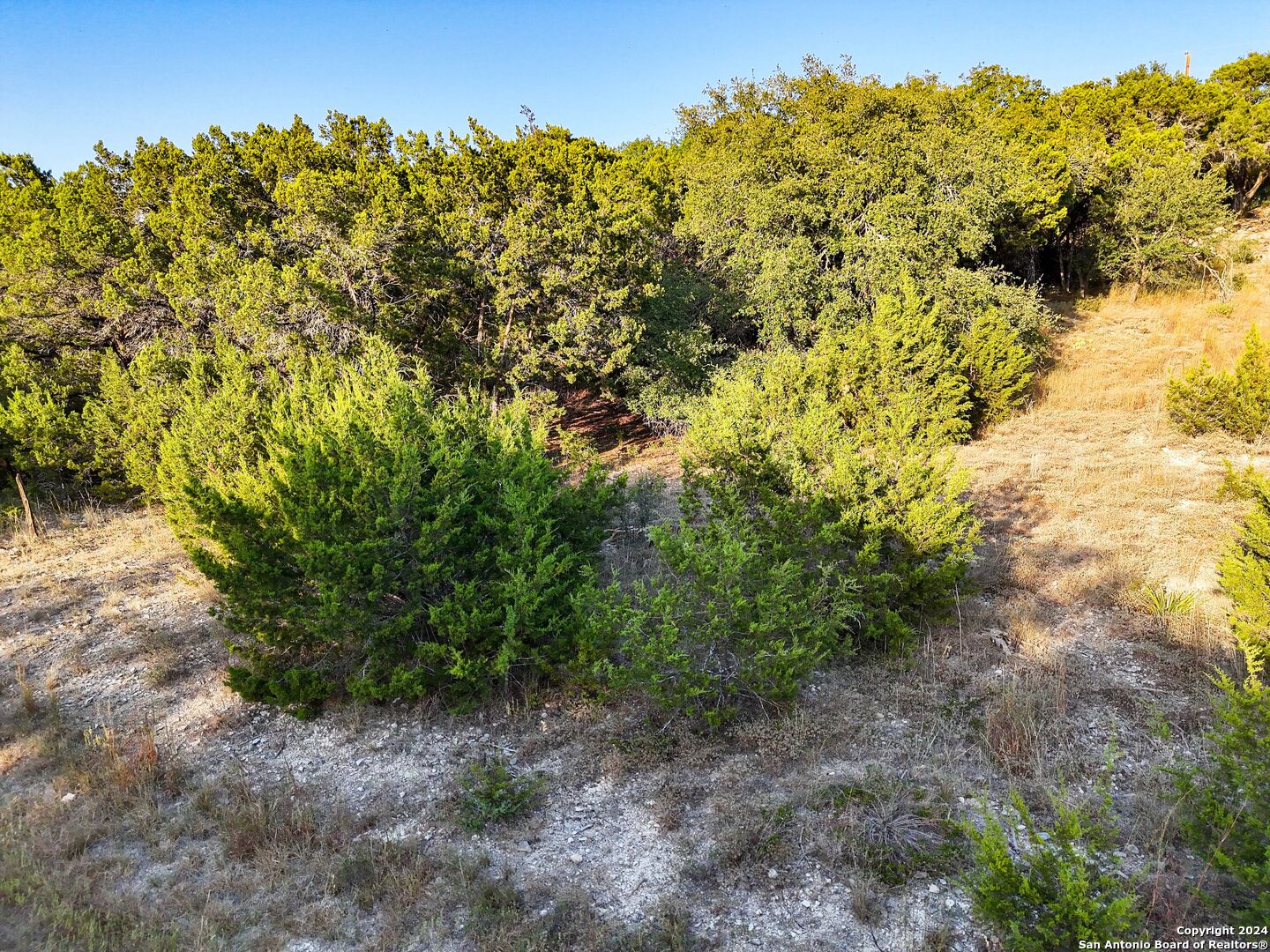 1155 Hancock Road Canyon Lake, TX 78133 - Photo 9 of 23 a view of a yard with a tree