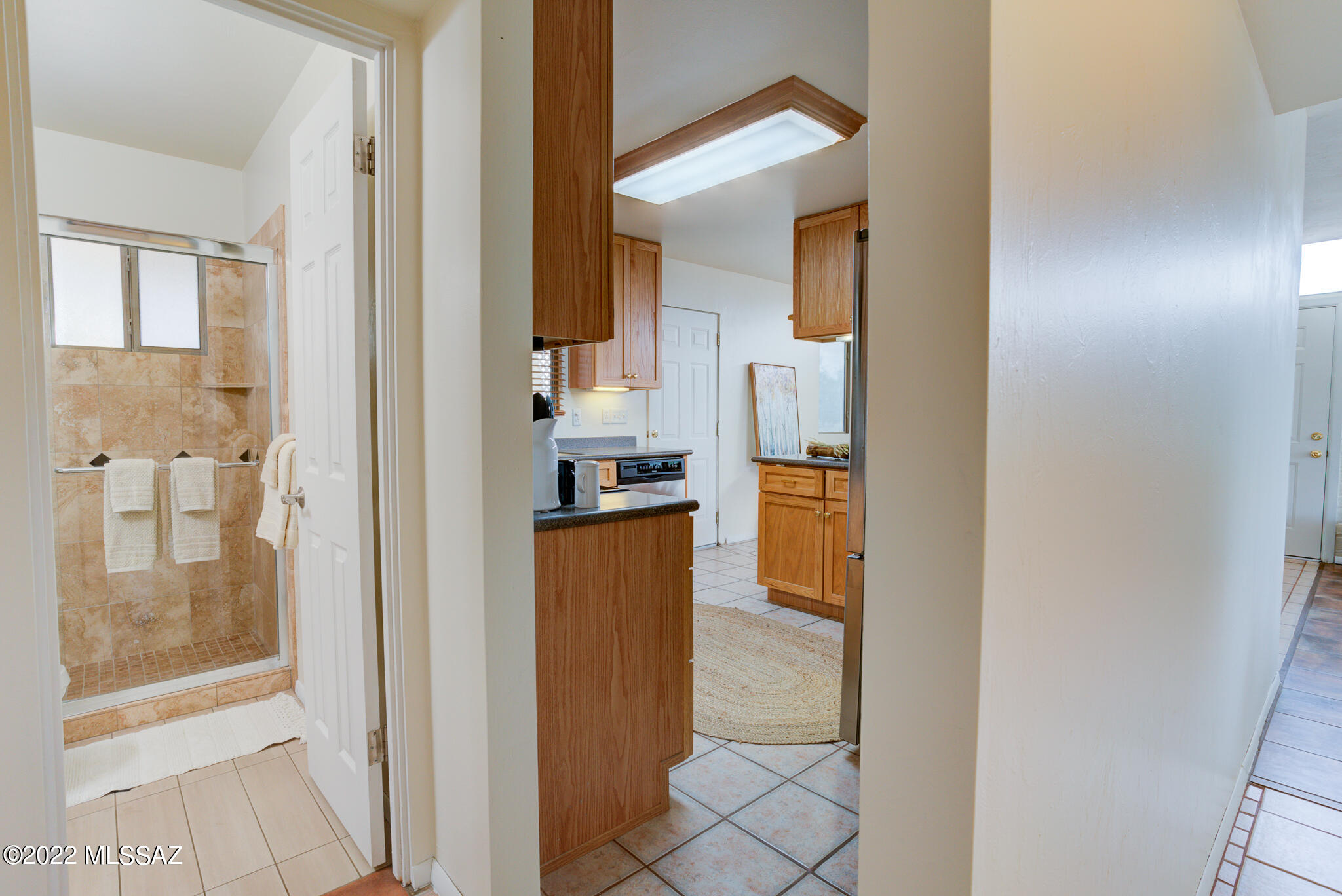 409 West Spring Vly Court Tucson, AZ 85704 - Photo 17 of 30
