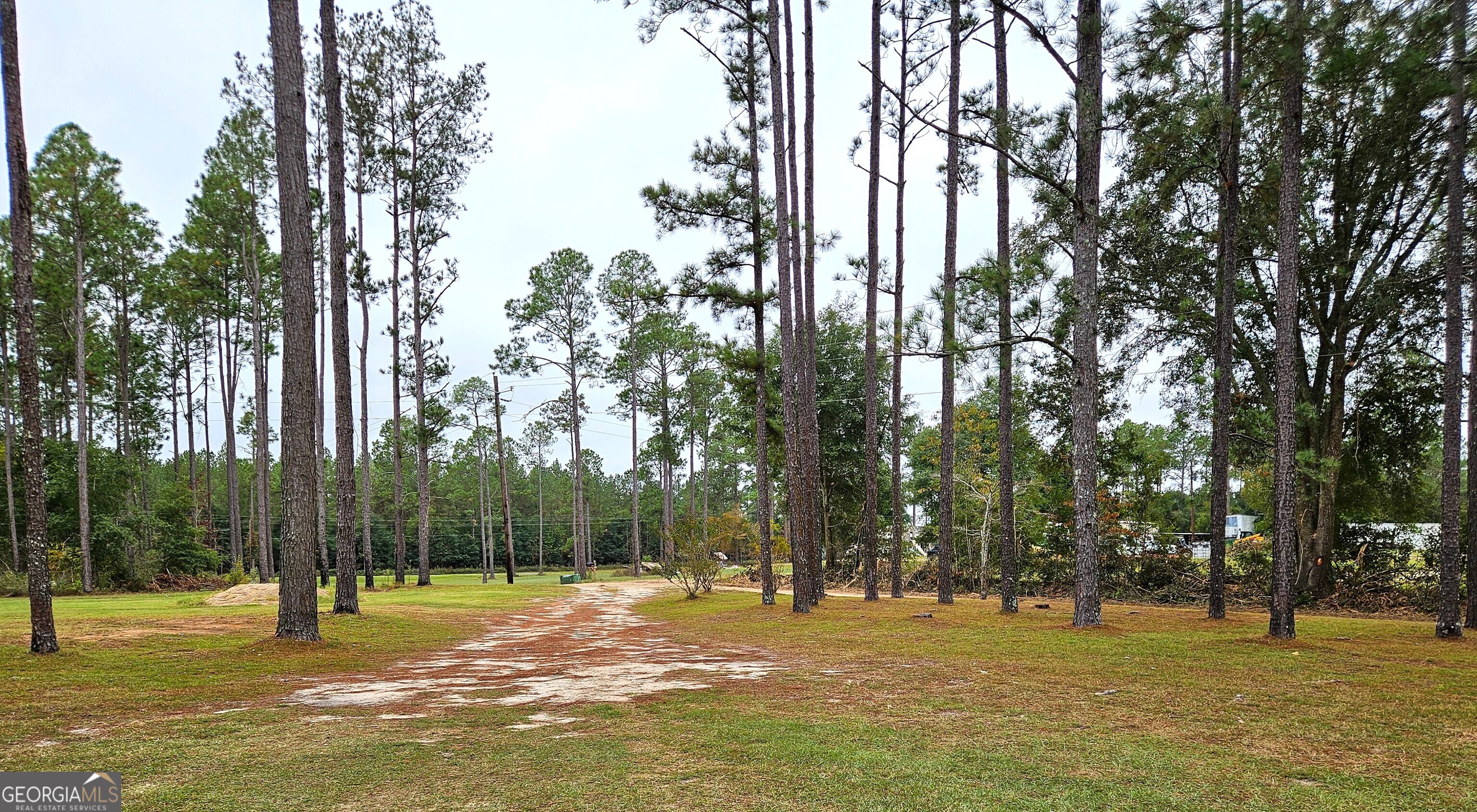 290 Long Road Bainbridge, GA 39817 - Photo 72 of 77