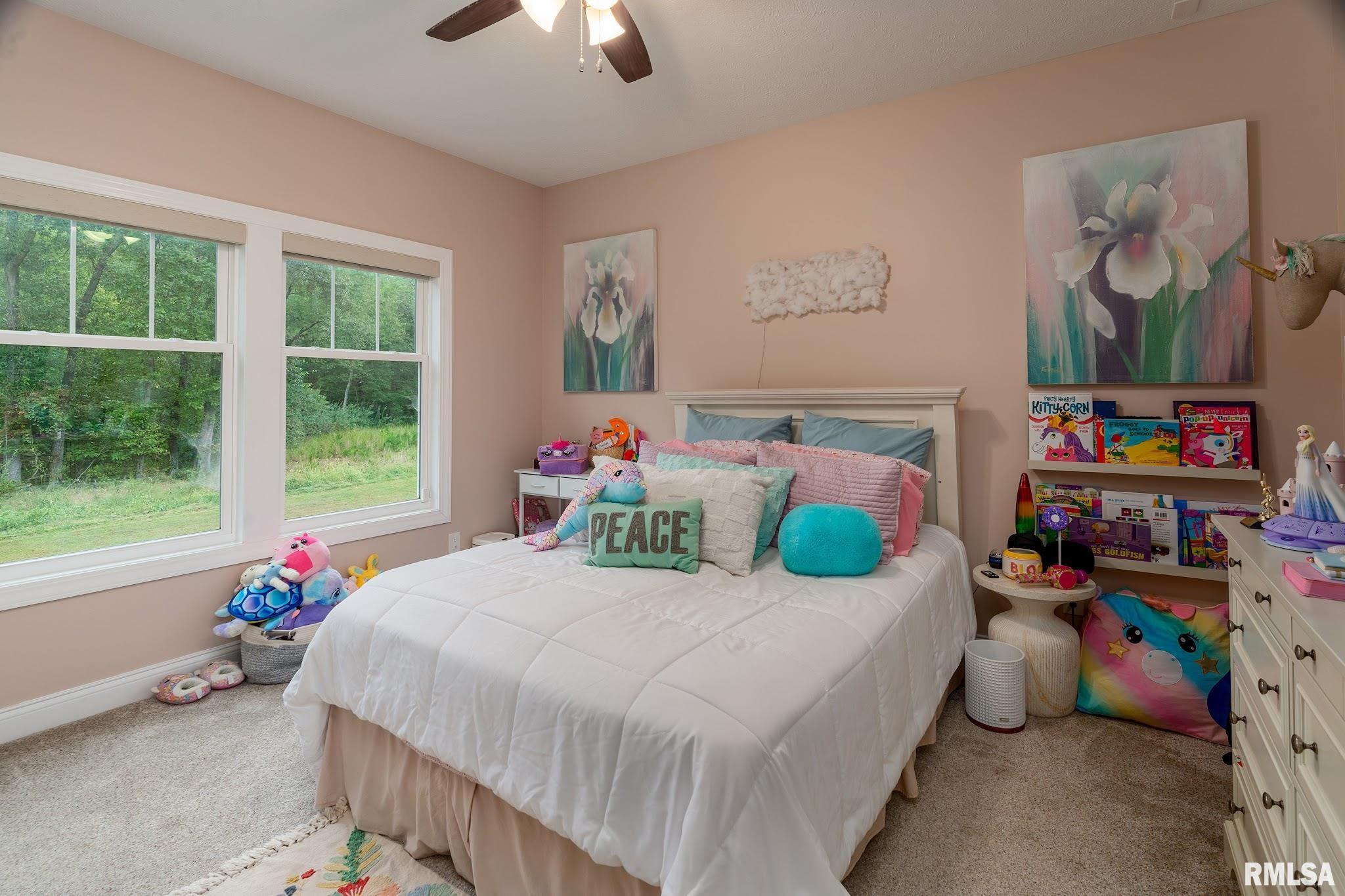 907 Laminack Road Carterville, IL 62918 - Photo 33 of 63 Gallery Image 33