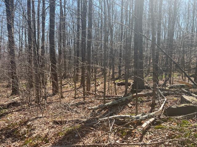 a view of a garden with a building