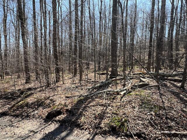 Wheeler Road Moscow, PA 18444 - Photo 3 of 5 a view of lots of trees