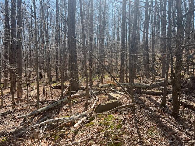Wheeler Road Moscow, PA 18444 - Photo 4 of 5 a view of a forest with a building