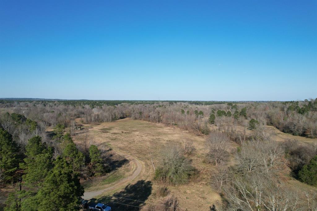 a view of a dry grass with trees in the background