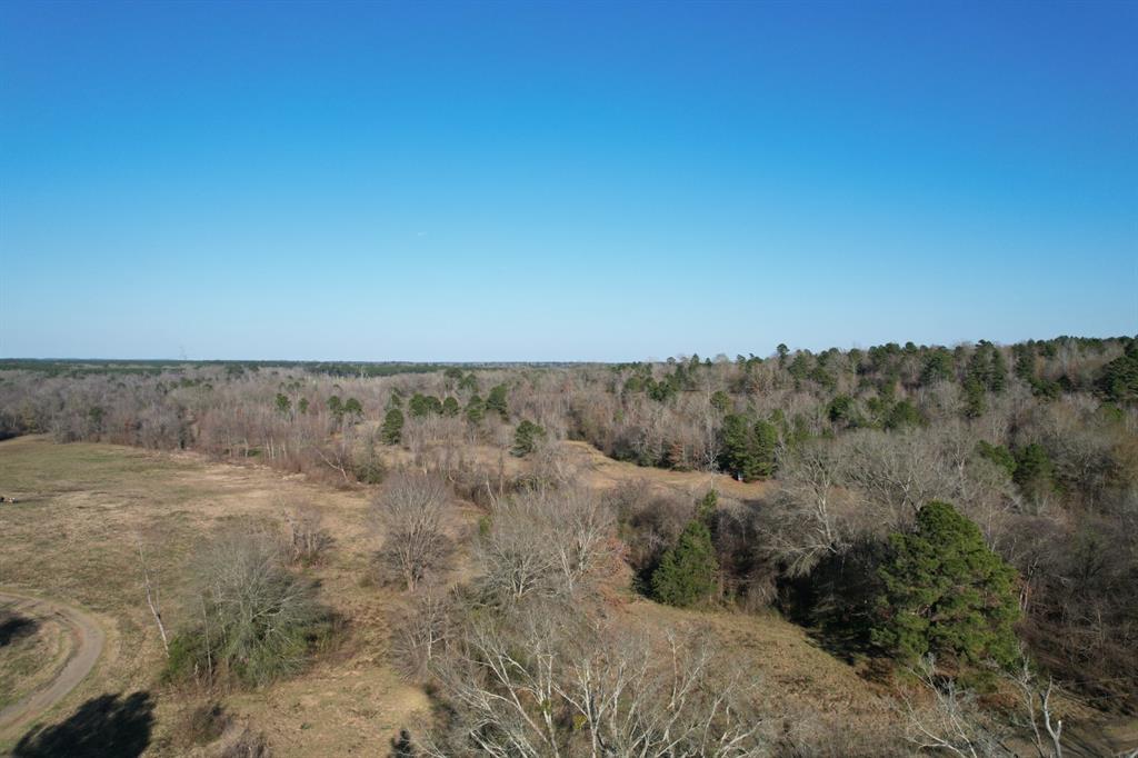 Tbd Tbd Reeves Road Garrison, TX 75946 - Photo 2 of 13 a view of a dry field with trees in the background