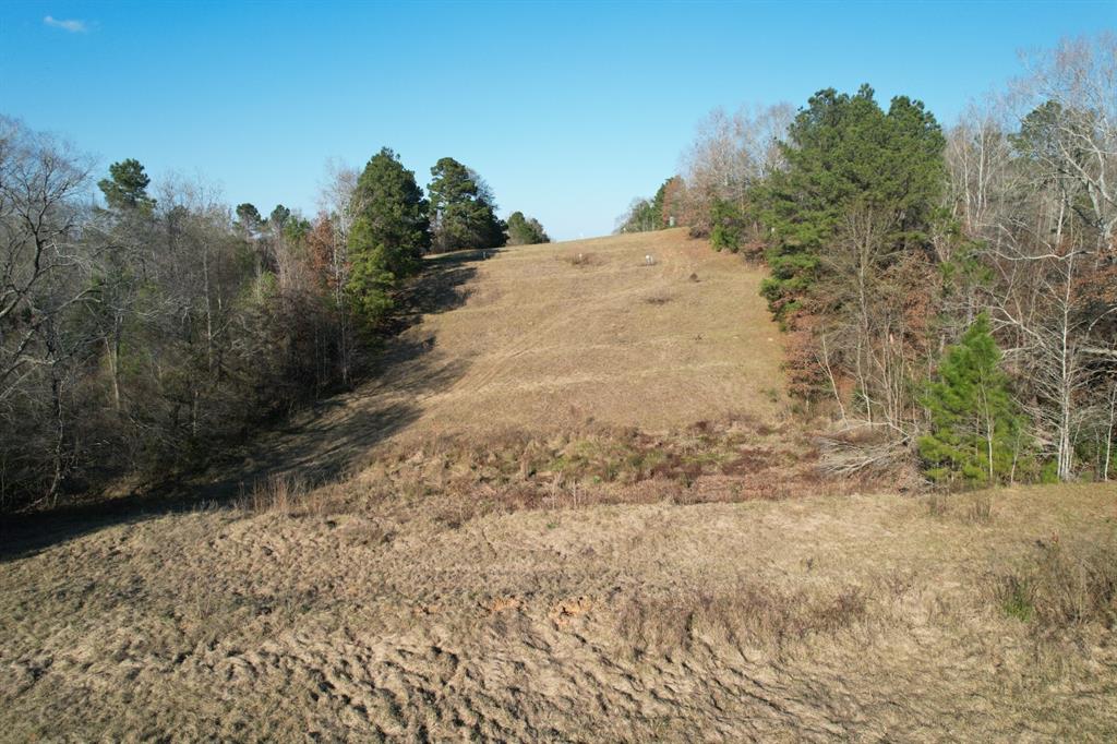Tbd Tbd Reeves Road Garrison, TX 75946 - Photo 3 of 13 a view of a yard with trees in front of it