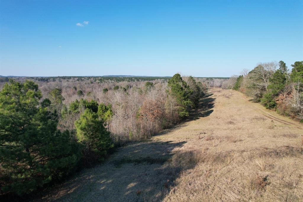 Tbd Tbd Reeves Road Garrison, TX 75946 - Photo 4 of 13 a view of a dry yard with trees in front of it