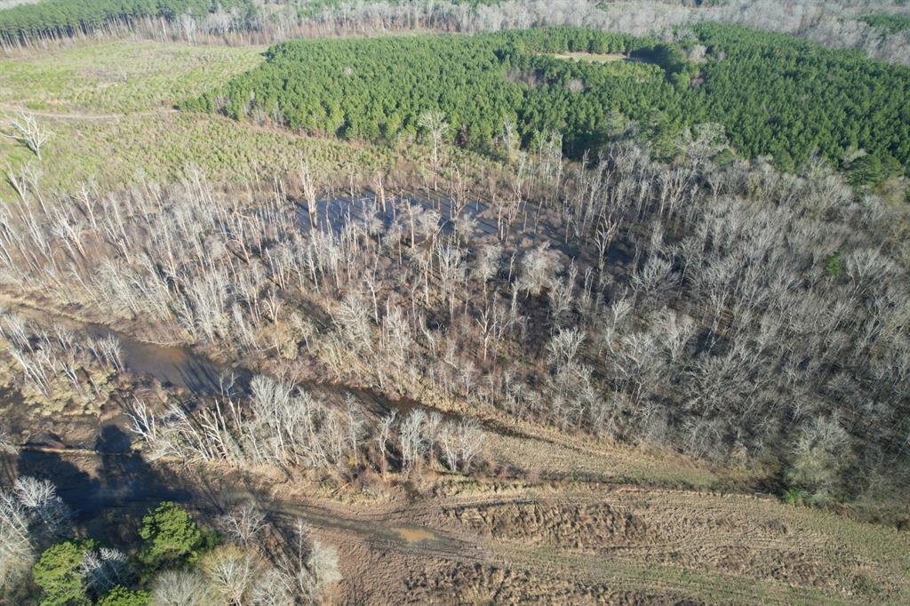 Tbd Tbd Reeves Road Garrison, TX 75946 - Photo 5 of 13 a view of a yard