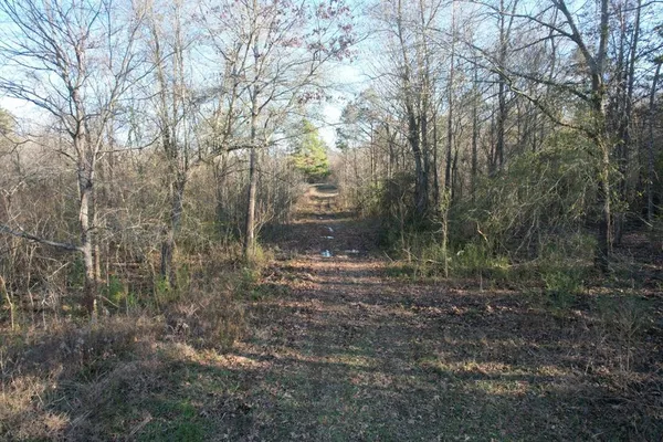 $1,395,000 | Tbd Tbd Reeves Road, Garrison, TX 75946