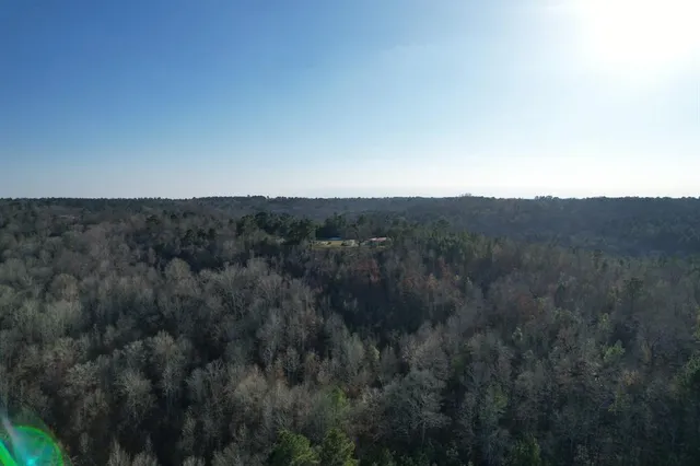 a view of a field of grass and mountain