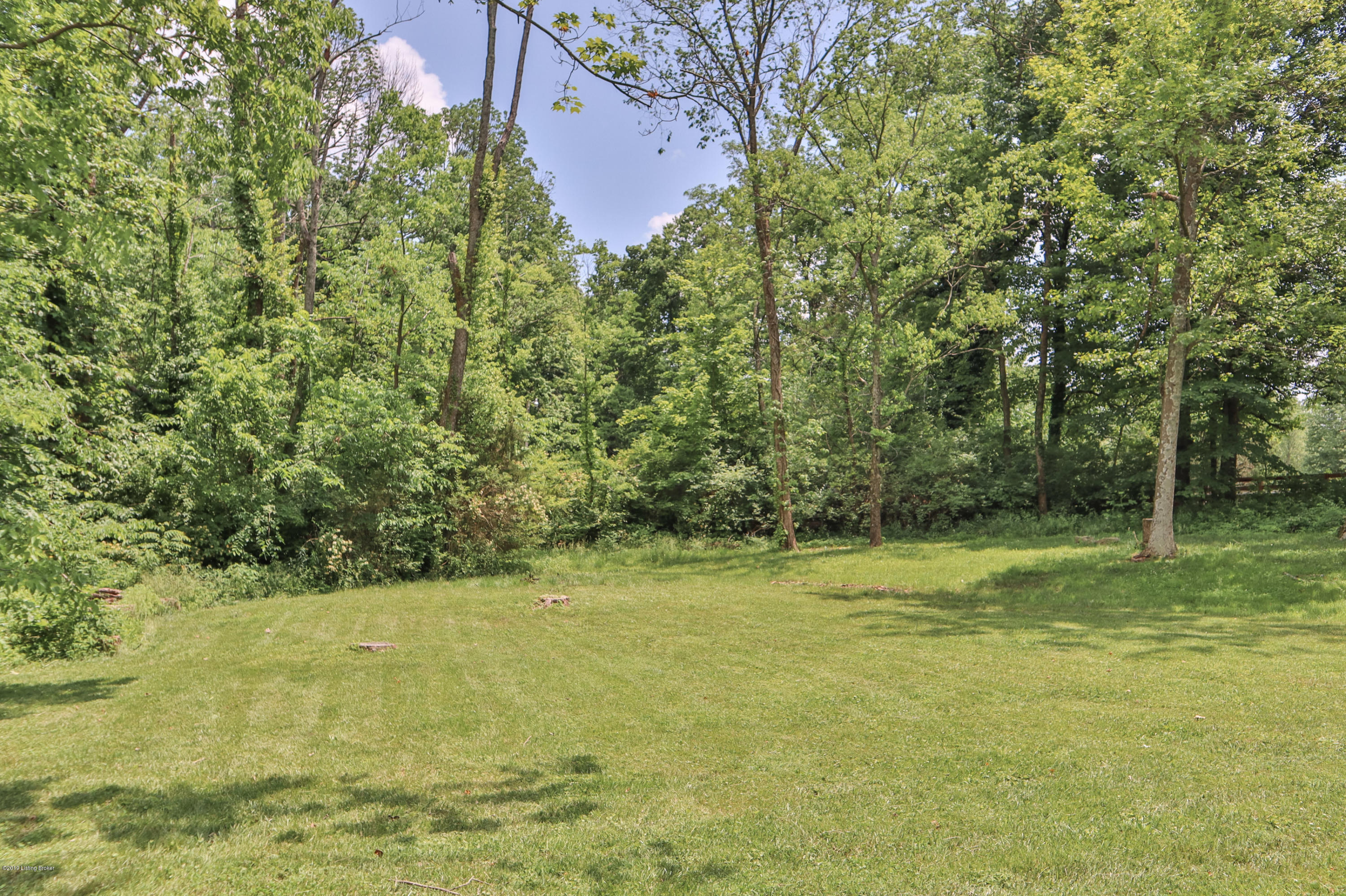 1009 Cedar Point Road La Grange, KY 40031 - Photo 37 of 45 045 20190528 0264