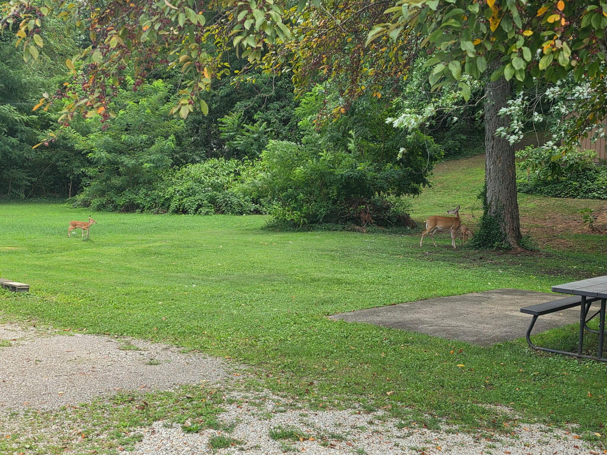 1006 Pershing Road Zanesville, OH 43701 - Photo 34 of 35 2811
