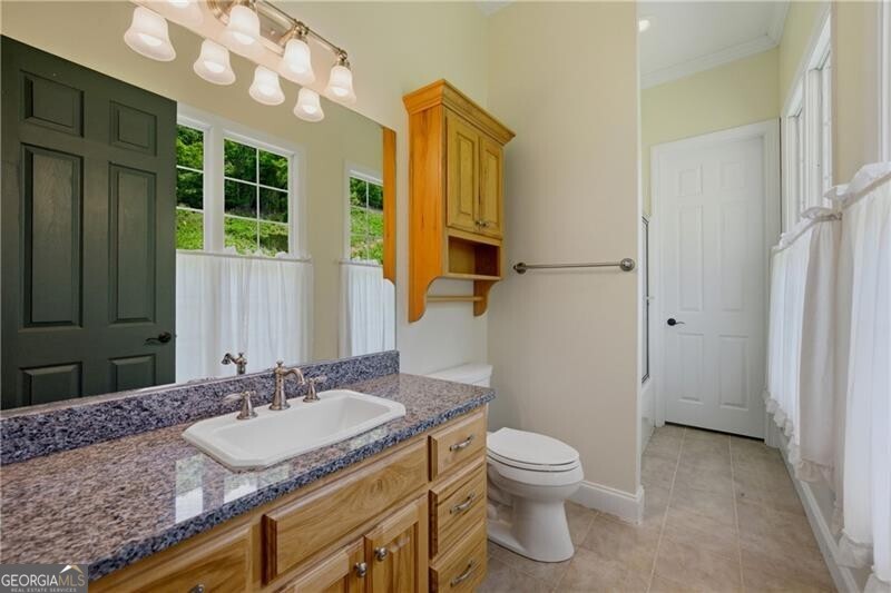 619 Hamp Mill Road Dahlonega, GA 30533 - Photo 37 of 118