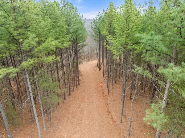 $205,000 | 0 Doug Stanley Road, Sandy Ridge, NC 27046