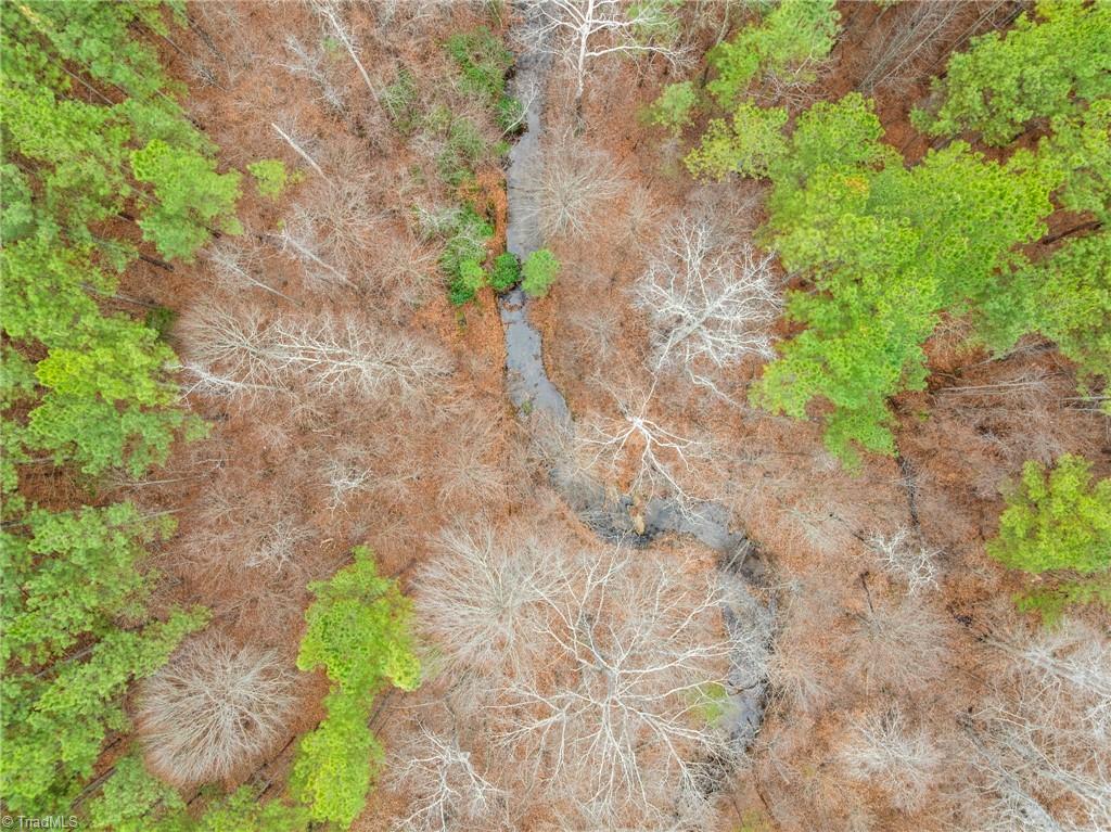 0 Doug Stanley Road Sandy Ridge, NC 27046 - Photo 11 of 17