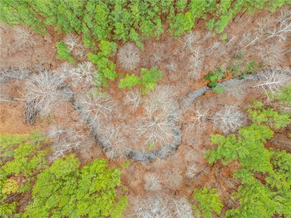 0 Doug Stanley Road Sandy Ridge, NC 27046 - Photo 12 of 17