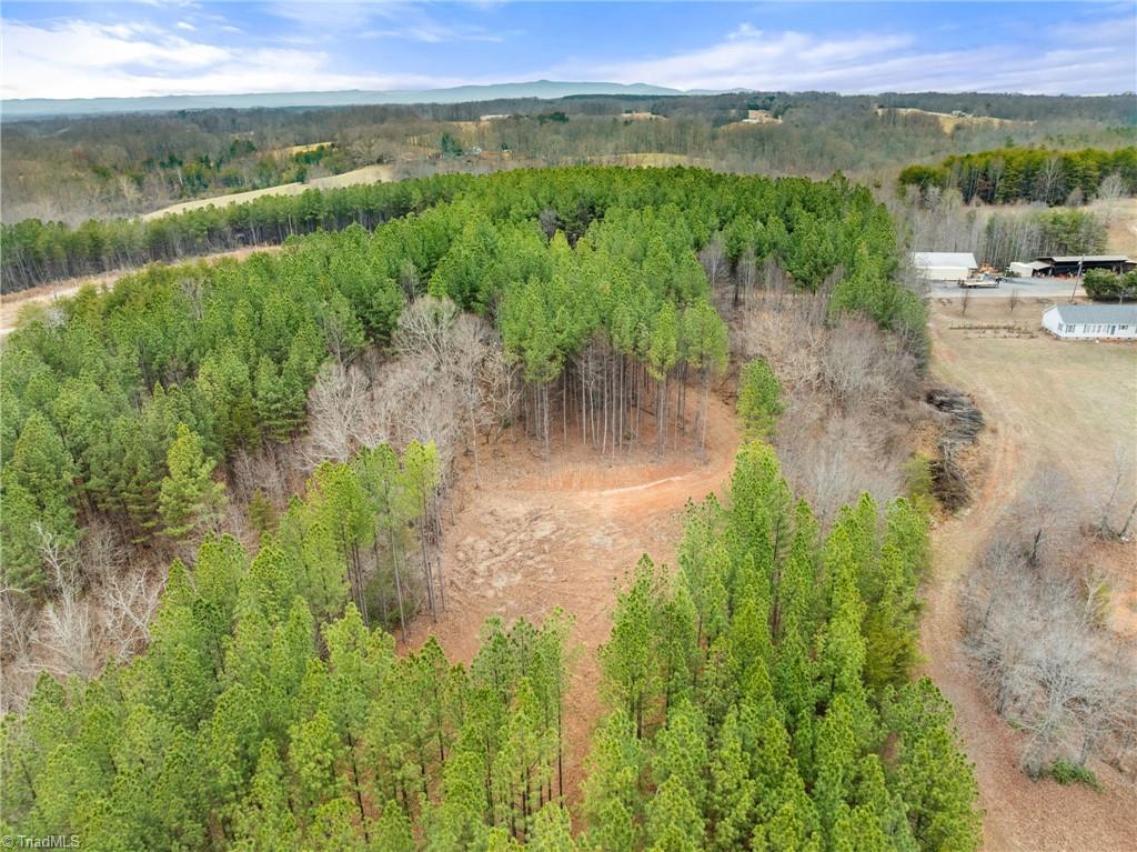 0 Doug Stanley Road Sandy Ridge, NC 27046 - Photo 14 of 17