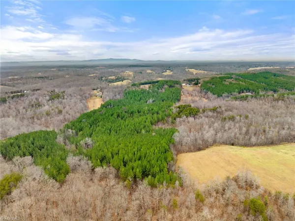 $205,000 | 0 Doug Stanley Road, Sandy Ridge, NC 27046