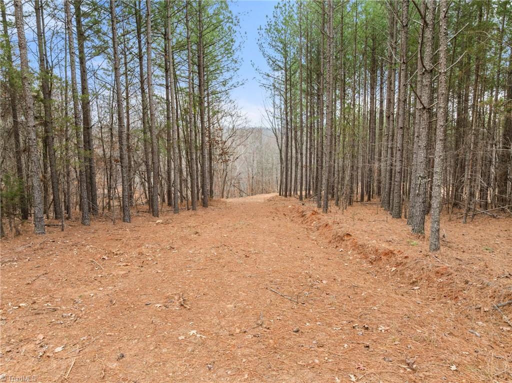 0 Doug Stanley Road Sandy Ridge, NC 27046 - Photo 3 of 17