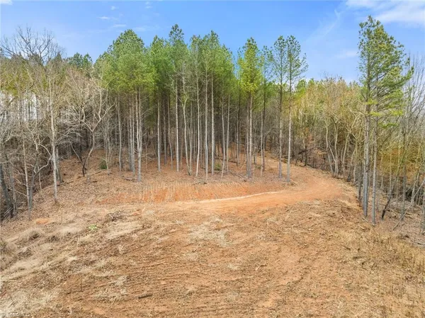 $205,000 | 0 Doug Stanley Road, Sandy Ridge, NC 27046