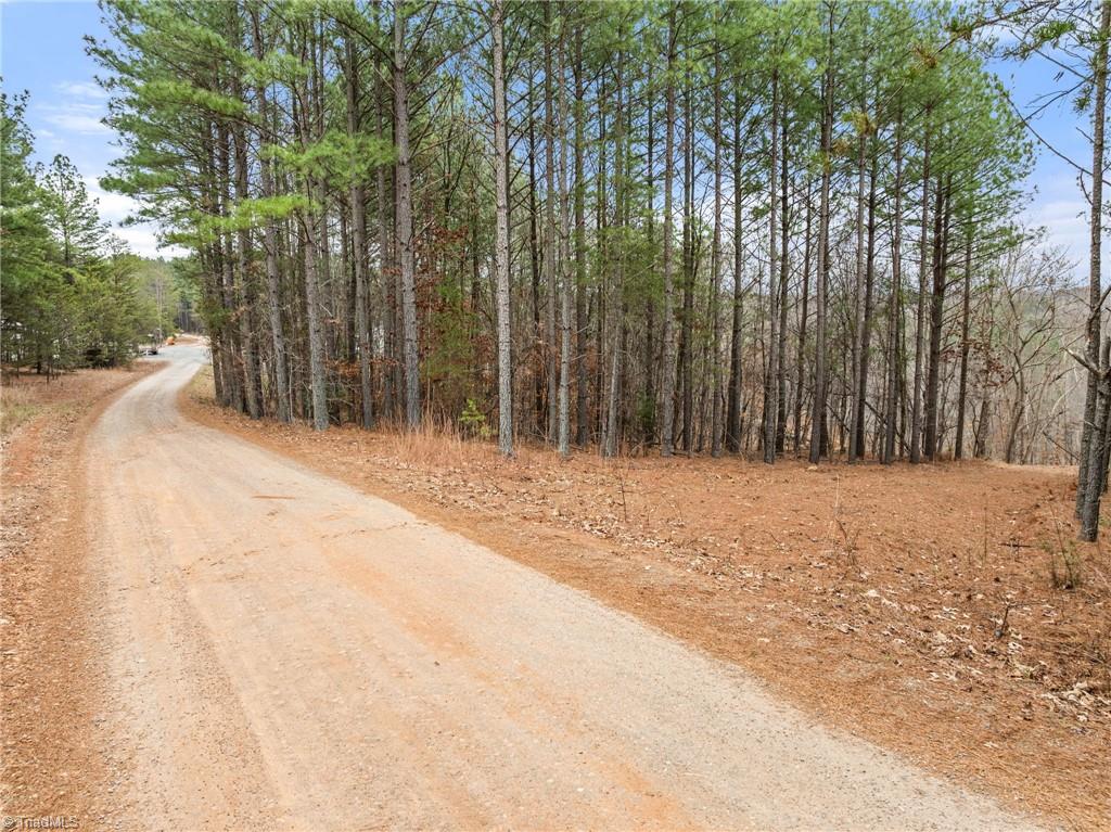 0 Doug Stanley Road Sandy Ridge, NC 27046 - Photo 4 of 17
