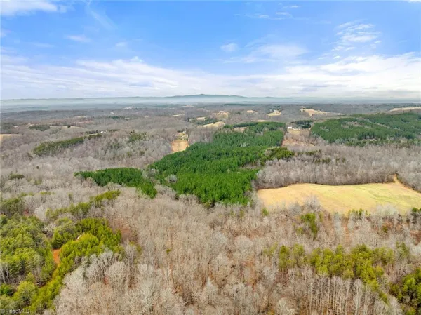 $205,000 | 0 Doug Stanley Road, Sandy Ridge, NC 27046