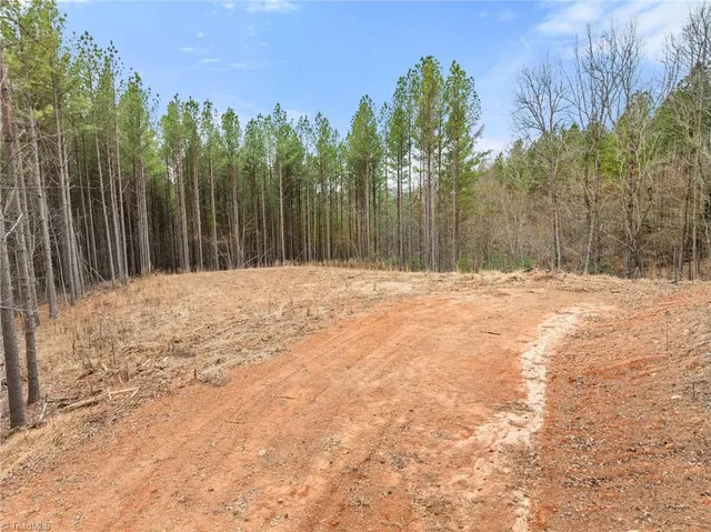 $230,000 | 0 Doug Stanley Road, Sandy Ridge, NC 27046