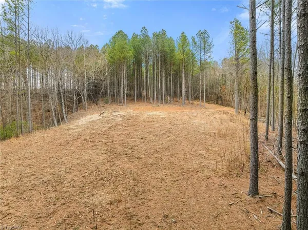 $205,000 | 0 Doug Stanley Road, Sandy Ridge, NC 27046