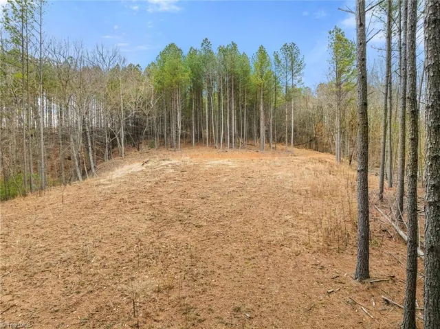 $230,000 | 0 Doug Stanley Road, Sandy Ridge, NC 27046