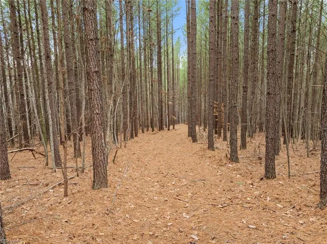 $230,000 | 0 Doug Stanley Road, Sandy Ridge, NC 27046