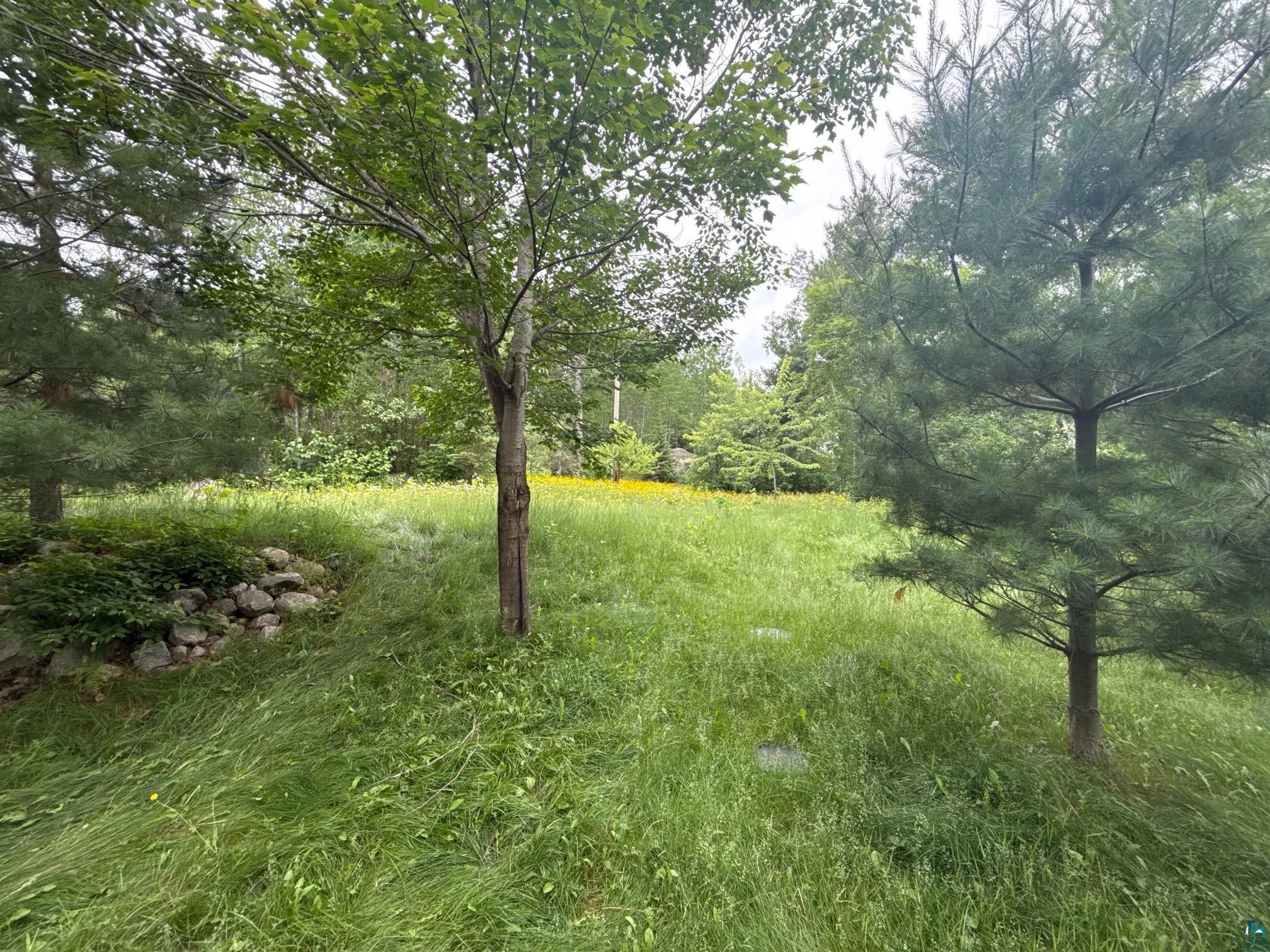 8141 Muskego Point Orr, MN 55771 - Photo 22 of 48 View of yard