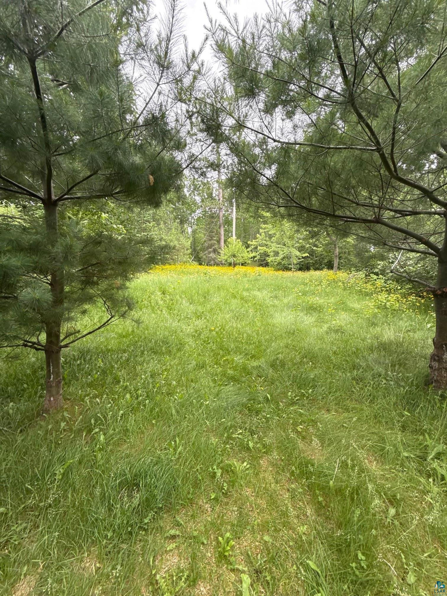 8141 Muskego Point Orr, MN 55771 - Photo 23 of 48 Yard